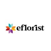 screenshot-www.eflorist.co.uk-2023.06.18-01_16_13-min